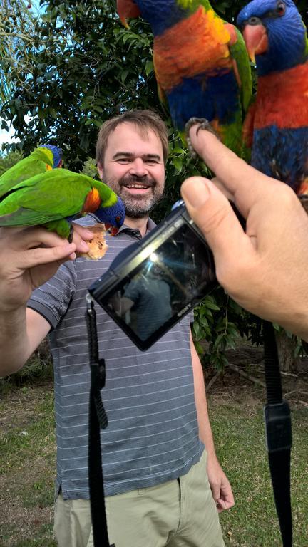 Magnetic Island Bed And Breakfast Horseshoe Bay Esterno foto