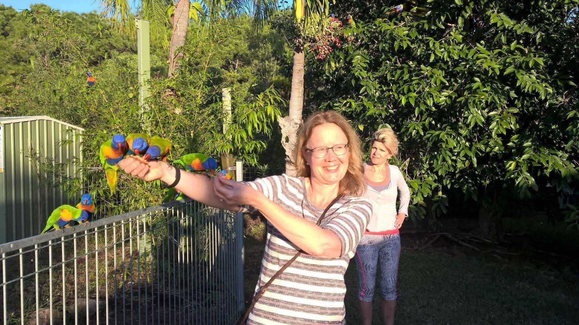 Magnetic Island Bed And Breakfast Horseshoe Bay Esterno foto